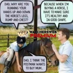 But Dad - Ray - QLD, Australia