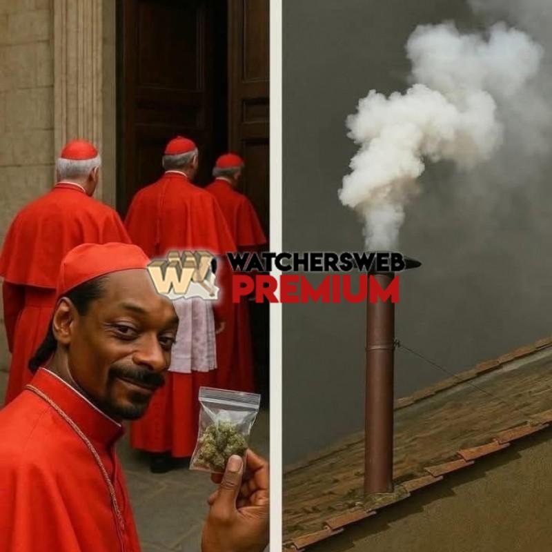 Pope Shaggy - Ray - QLD, Australia