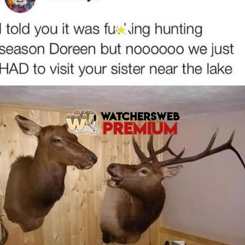 Nag Nag - Ray - QLD, Australia