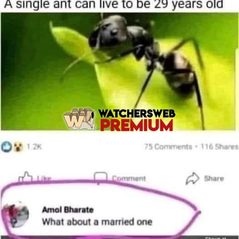 Good Question - Ray - QLD, Australia