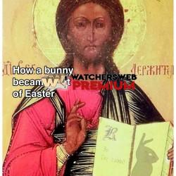 Makes Sense Now - Ray - QLD, Australia