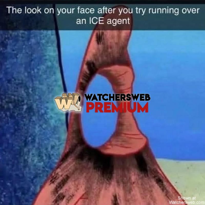 Harsh - Ray - QLD, Australia