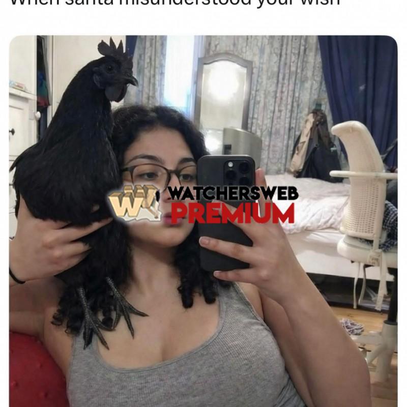 Santa - Ray - QLD, Australia