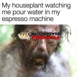 Plants - Ray - QLD, Australia