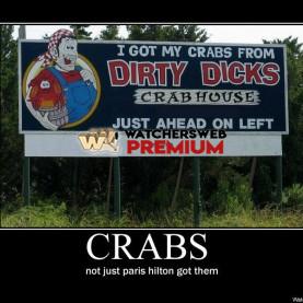 Crabs - p - Stone - Holland