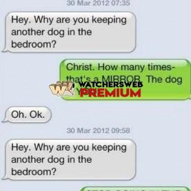 Dog Texting Owner #8 - c - Don - Australia