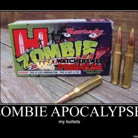 Zombie Apocalypse 4 - p - Stone - Holland