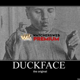 Original Duckface - p - Stone - Holland