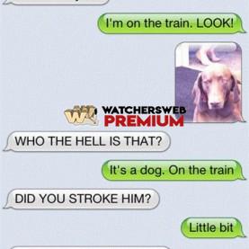 Dog Texting Owner #7 - c - Don - Australia