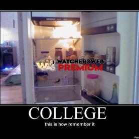 College So I Remember It - p - Stone - Holland