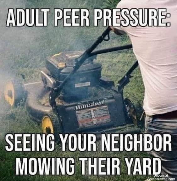 Adult Peer Pressure #0