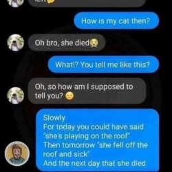 Poor Cat