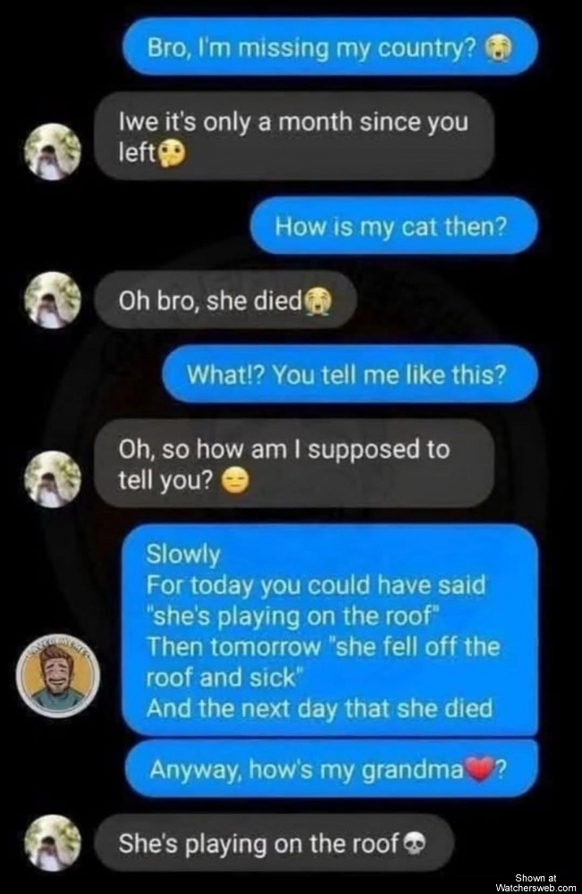 Poor Cat #0
