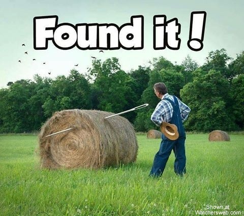 Found It #0