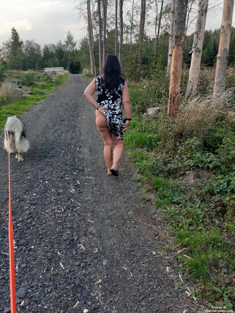 Frst Walk In The Forest #0