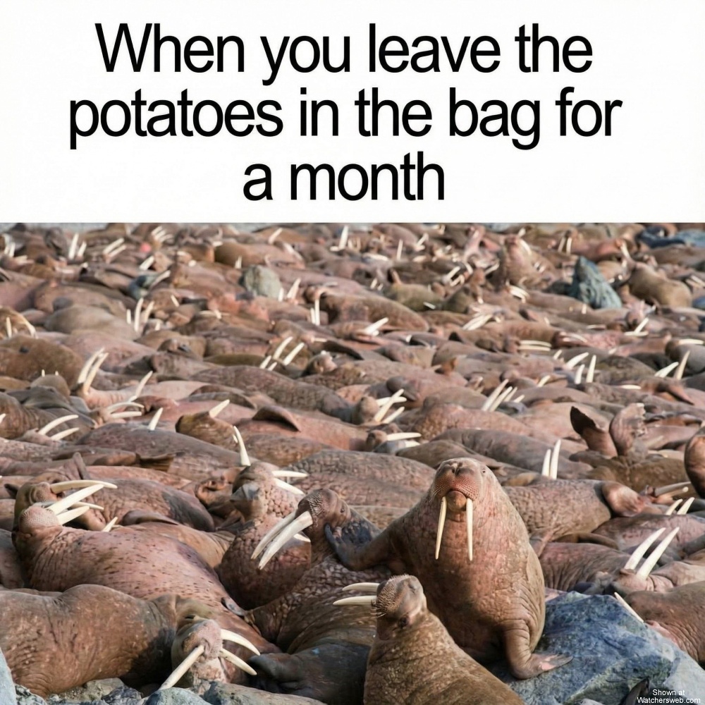 Potatoes #0