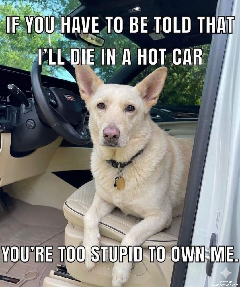I'll Die In A Hot Car #0