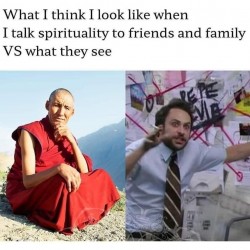 What I Think I Look Like