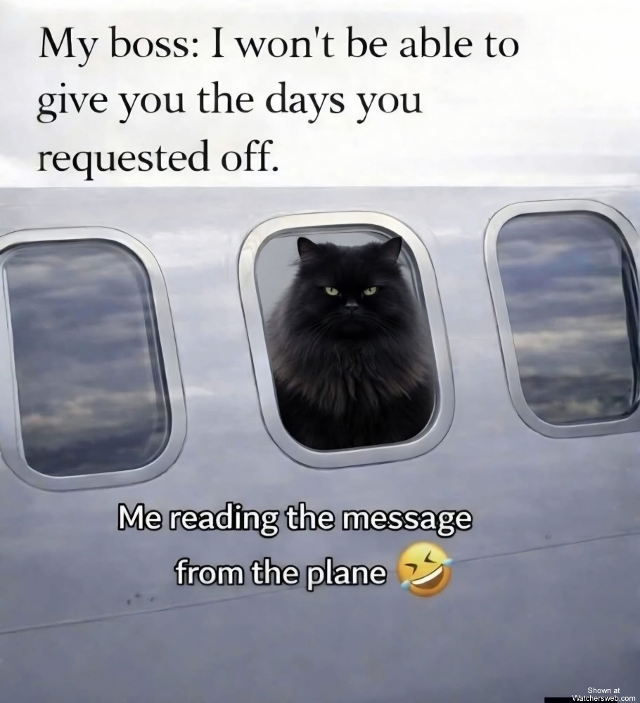 Request Rejected #0
