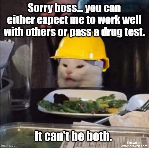 Can't Do Both #0