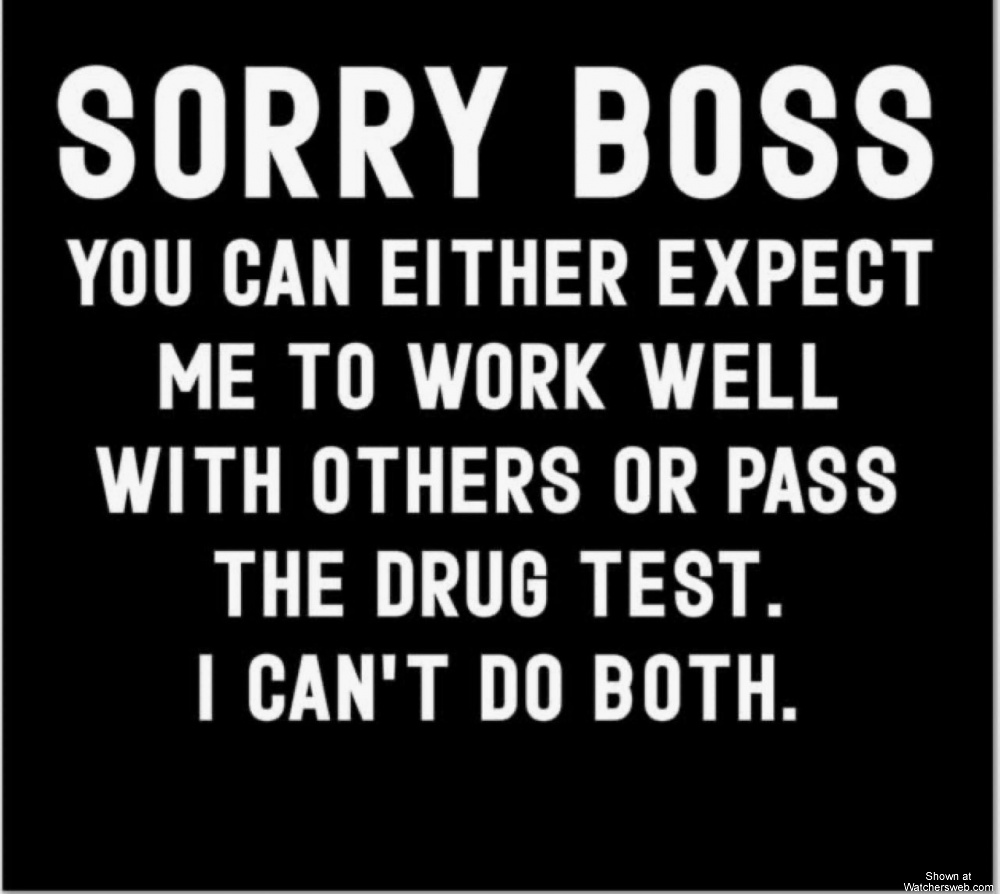 Sorry Boss #0