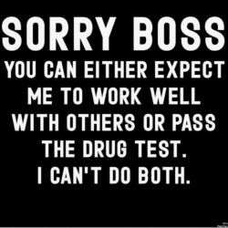 Sorry Boss