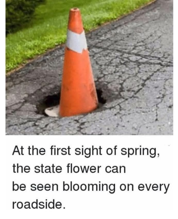 The State Flower #0