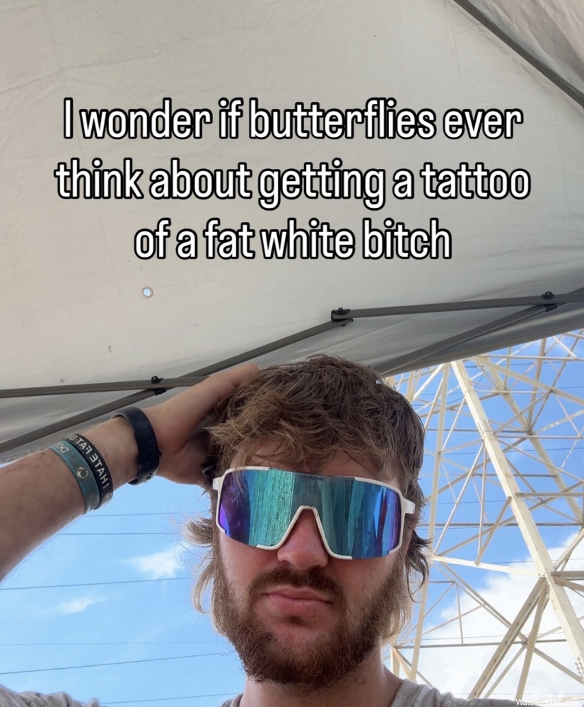 Butterflies #0