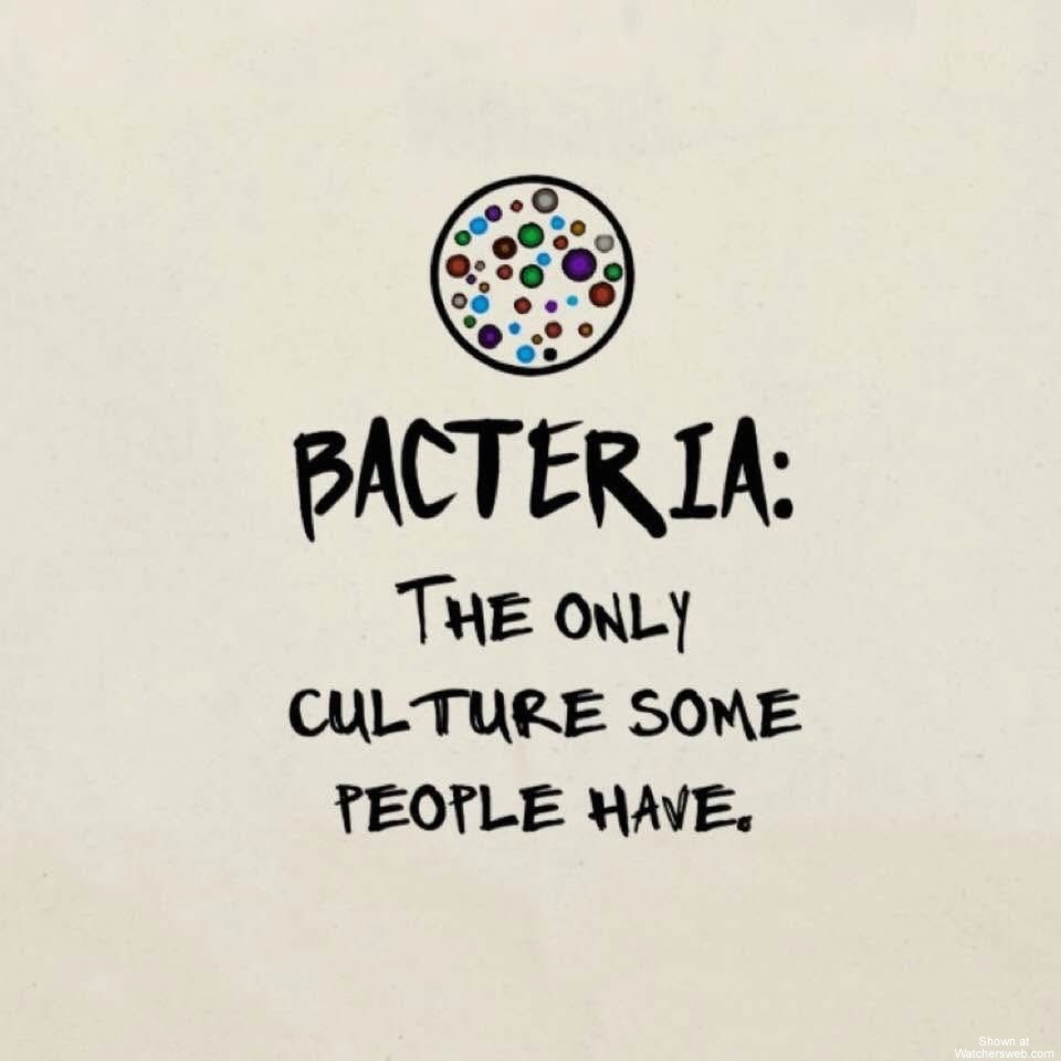 Bacteria #0