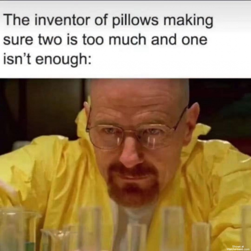 Pillow Inventors #0