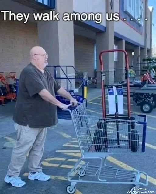 They Walk Among Us #0