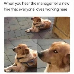 Hearing The Manager