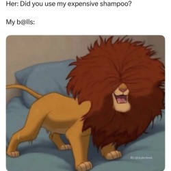 Expensive Shampoo
