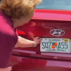 Loves Her New Plates
