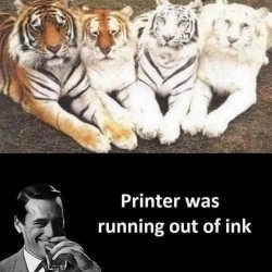 Ran Out Of Ink