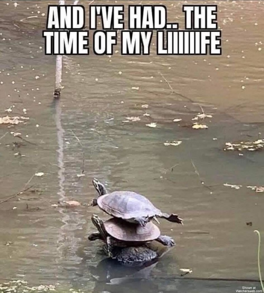 And I Owe It All To You #0