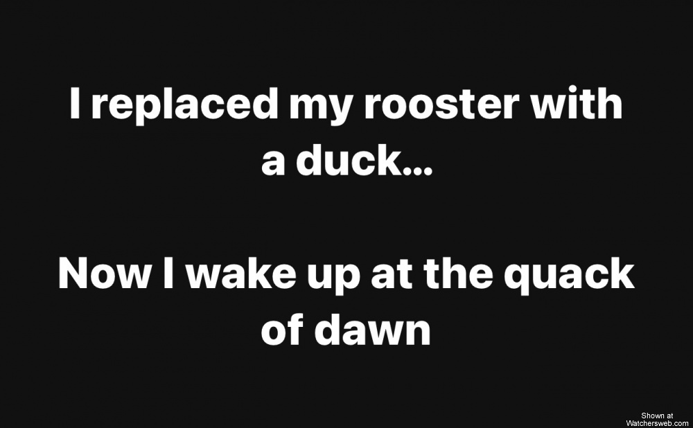 Replaced My Rooster #0