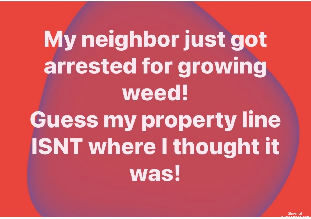 Clever #0