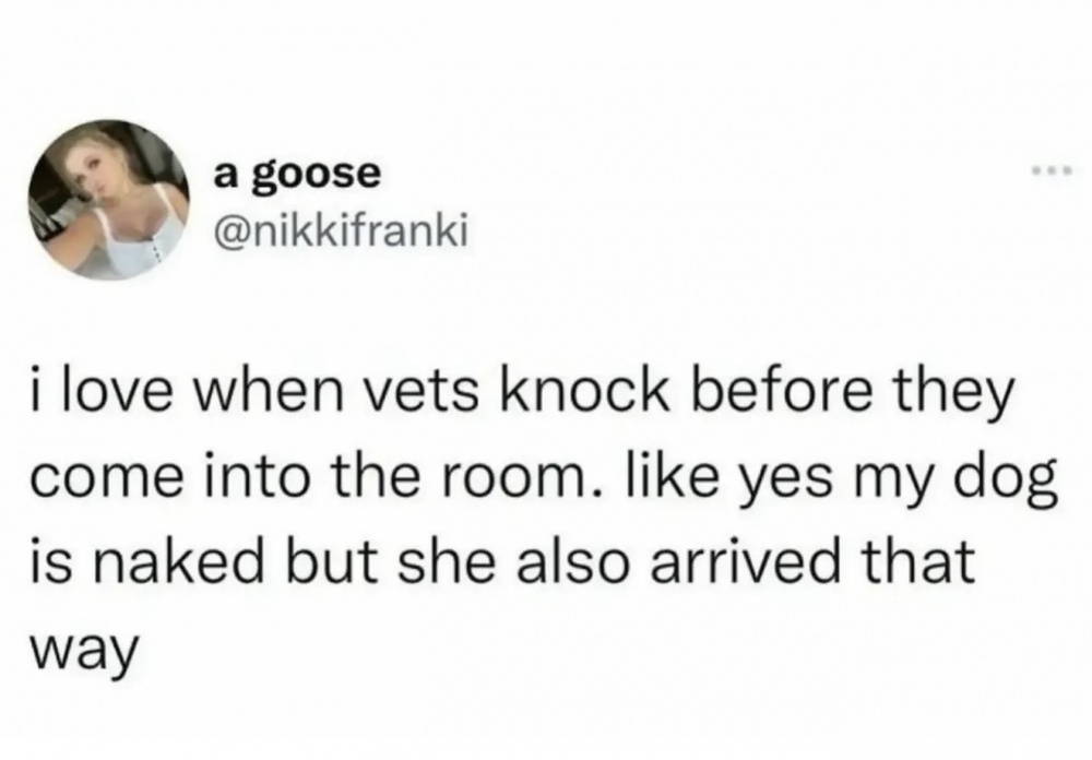 Knock Knock #0