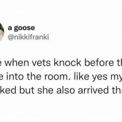 Knock Knock