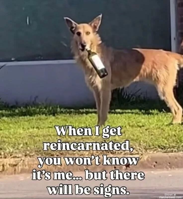 Reincarnated #0