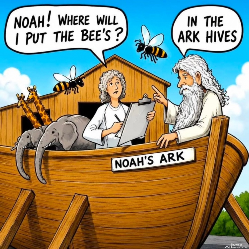 Noah's Ark #0