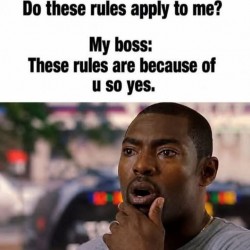 The Rules