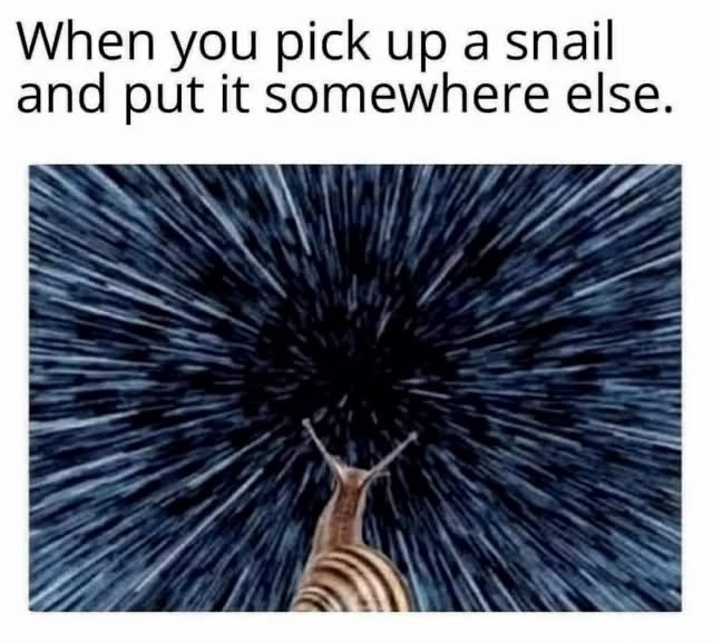 Relocating A Snail #0