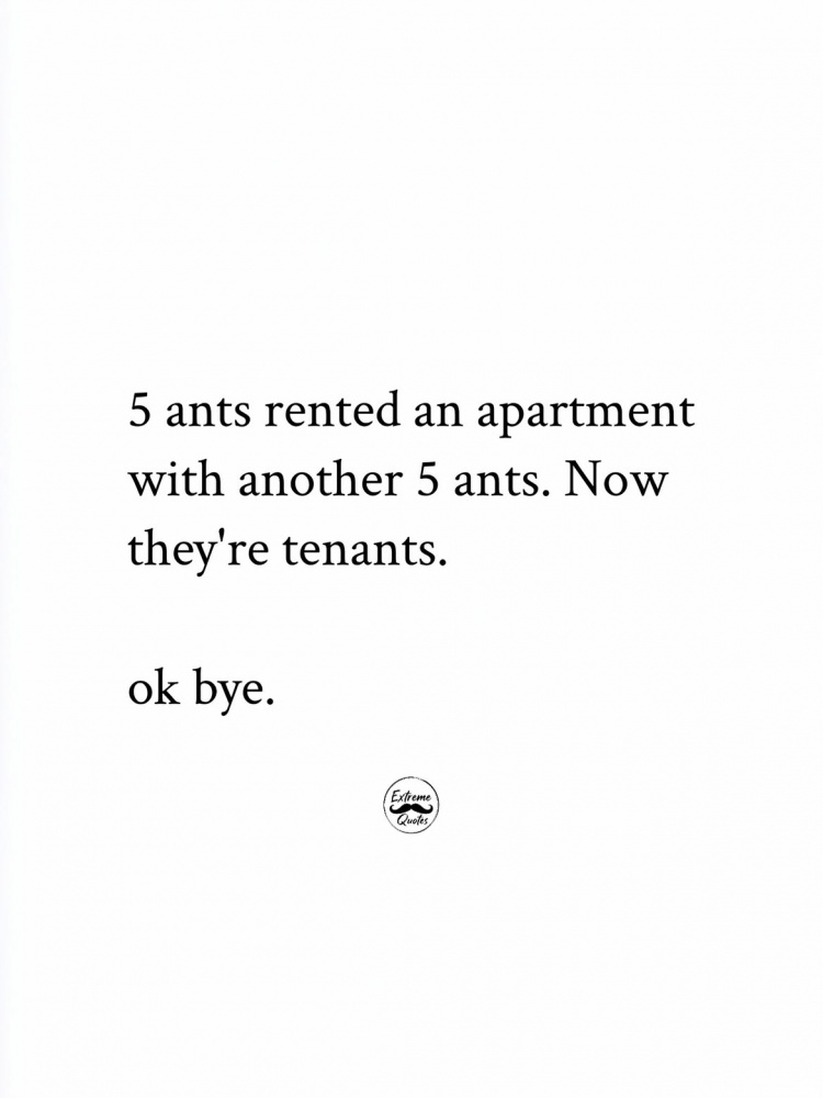 Ants #0