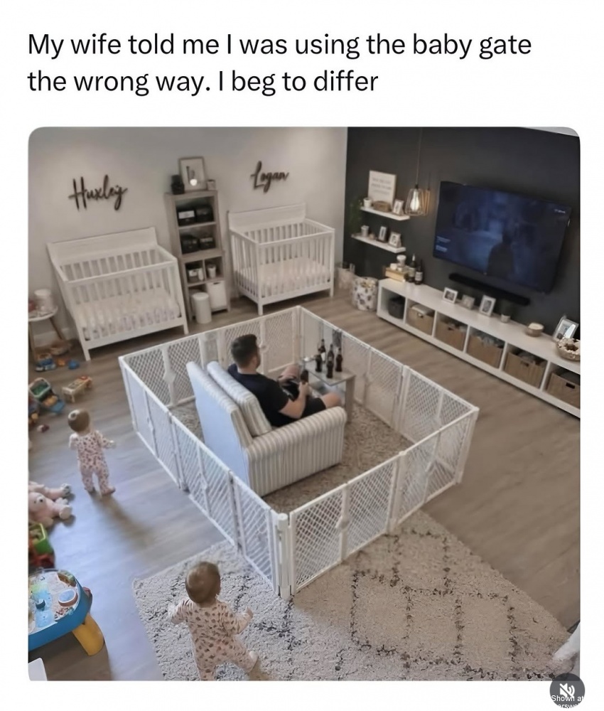 Baby Gate #0
