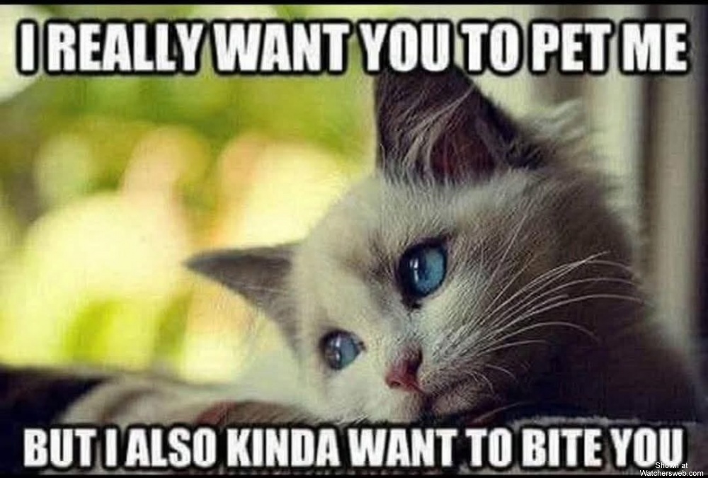 Pet Me #0
