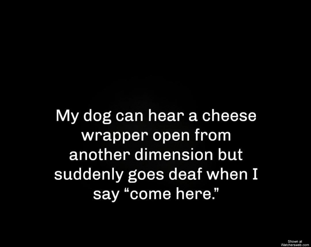Come Here #0