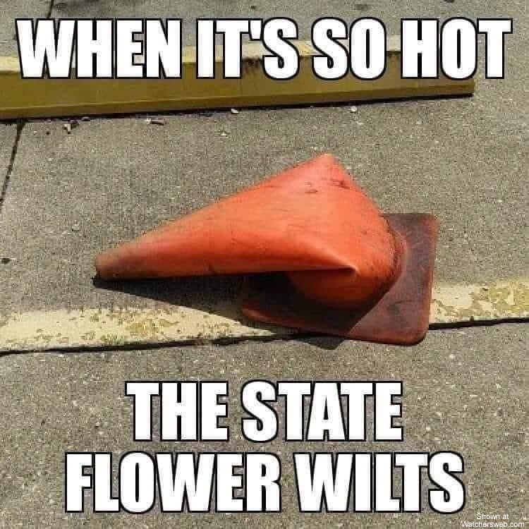 State Flower #0