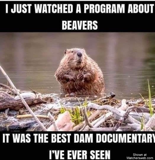 Beavers #0